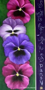 Pansy Parade Acrylic e-Packet